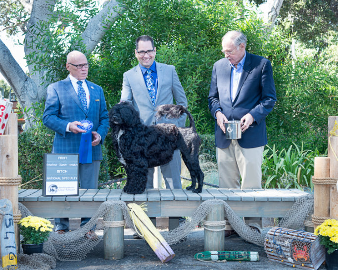 Ary Am win Spec W683.jpg