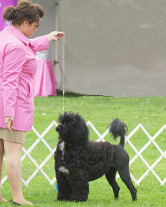 Ary W Sharlie W341.jpg