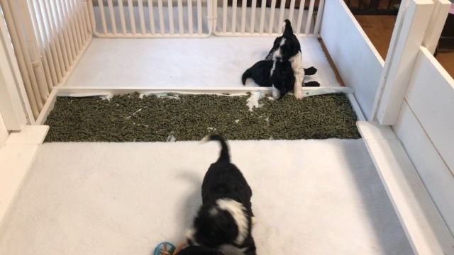 box-video-2-broadband-low