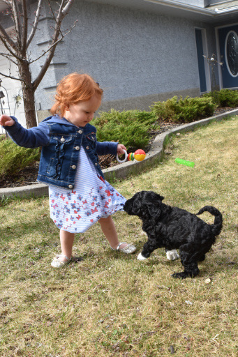 Ella Visit Puppy - 341 W.jpg