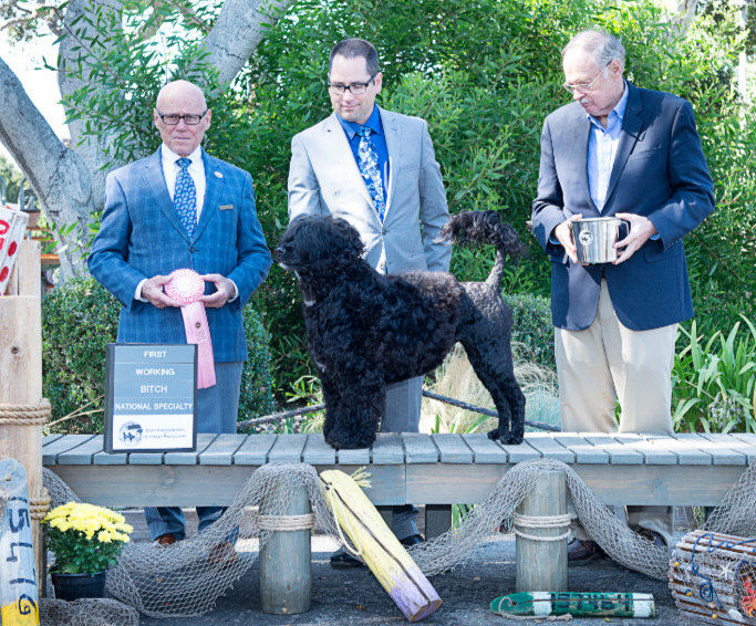 Holly Spec Working.jpg