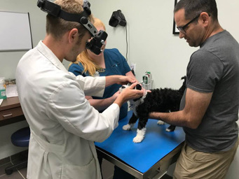 Otho Photo Litter 2 W341