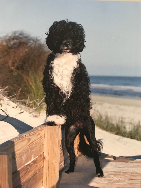 Tique Photo Shoot Kiawa - W600.jpg